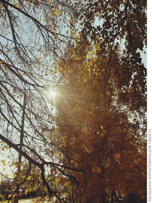 Золотая пора:)