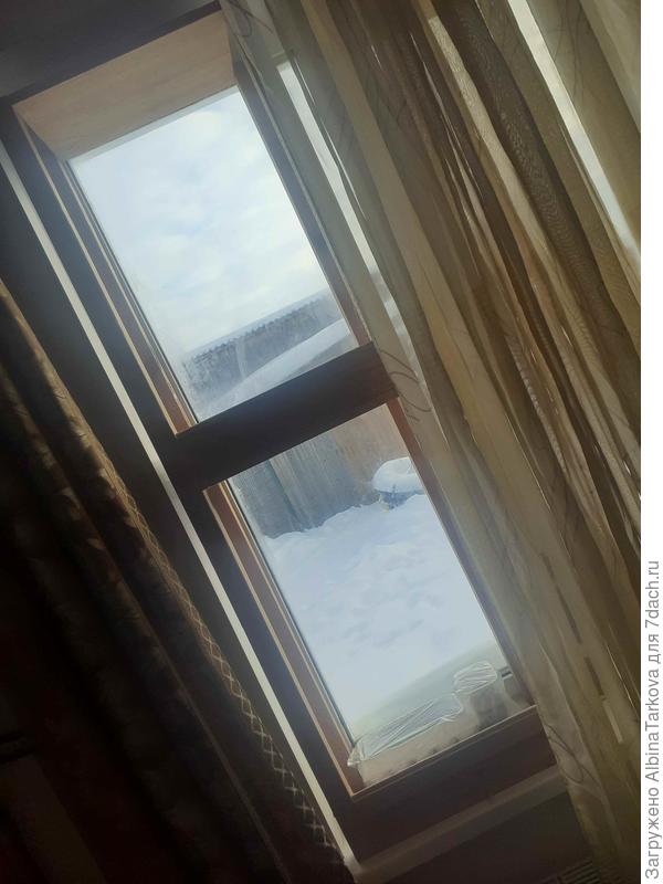 Полка для рассады, она для перцев, но пока здесь расположу эустомы