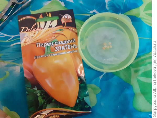 Ждем минуту