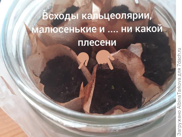 Результатом осталась довольна