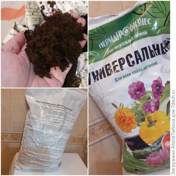 Мой выбор в этом сезоне