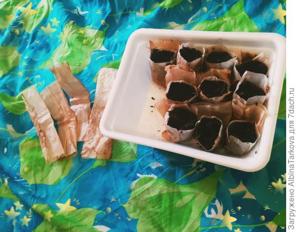 Пакетики с грунтом, раскладываю с помощью чайной ложки