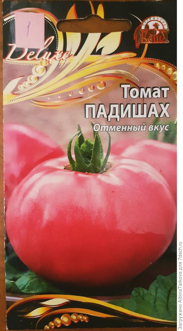 Интересный розовый окрас:)