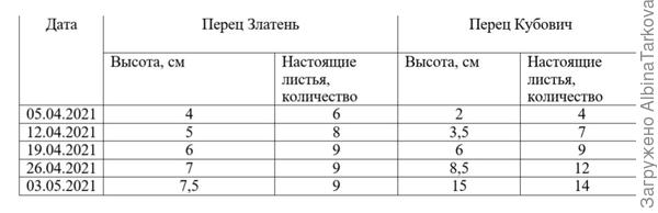 Динамика роста сладких перцев в период с 5 апреля по 3 мая 2021