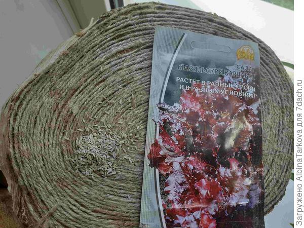 Салат 'Бразильский карнавал'