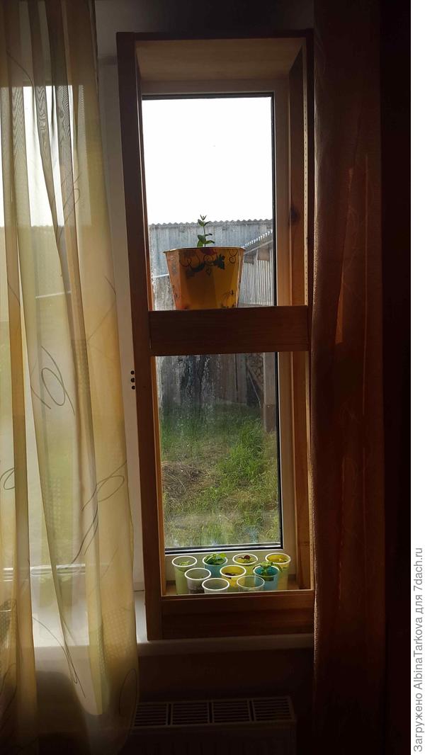 Это уже поздняя весна:), но принцип ясен - теперь на окне можно разместить в два раза больше рассады!