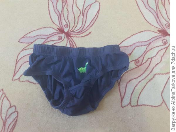 Труселя моего младшего сына, он, кстати, большой любитель динозавров:)