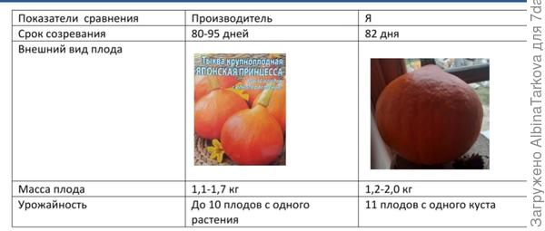 Сравнительная характеристика предпалагаемых и реальных результатов выращивания тыквы 'Японская принцесса'