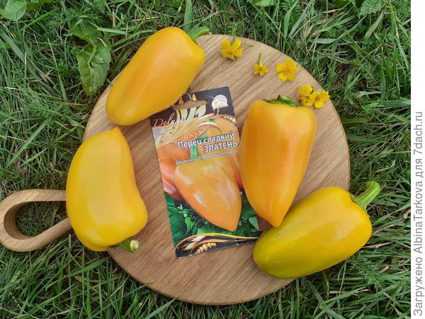 Очень солнечный; перчик и очень вкусный!