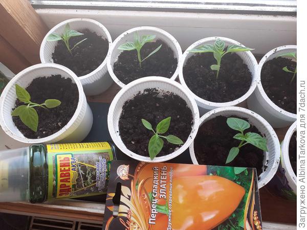 В тесноте, да не в обиде:), но досветка была бы не лишней