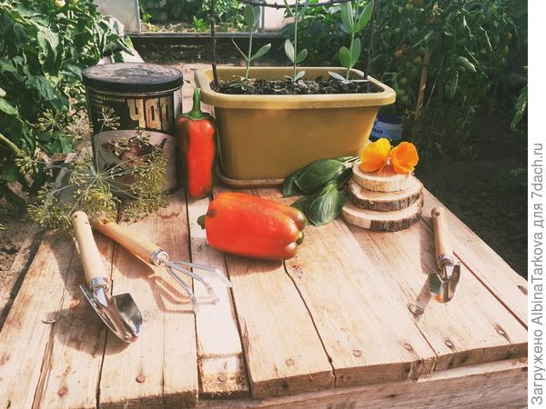 Буду ли повторять? - Да!