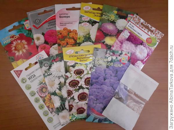 Ну и ещё всякие однолетники и лунария. Плюс ещё лежат свои семена бархатцев и календулы