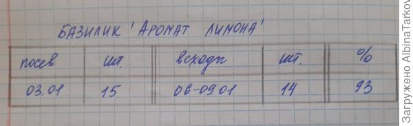 Павваа
