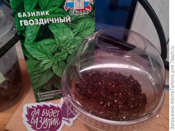 Грунт для всех базиликов готовлю так: универсальный для рассады + перлит + вермикулит