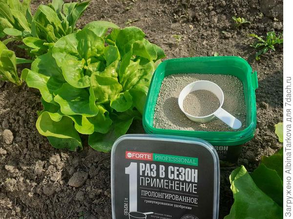 Удобно, что ещё сказать... Кстати, это салат Весна