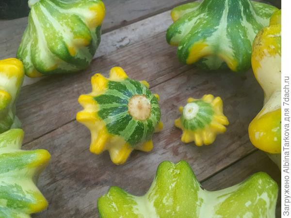 На мой взгляд, такие маленькие самые вкусные - нежные и хрустящие