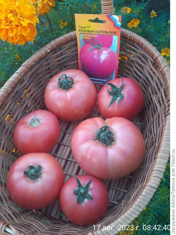 Красивые плоды