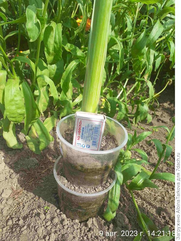 Постепенно добавляла новый уровень и засыпала землей