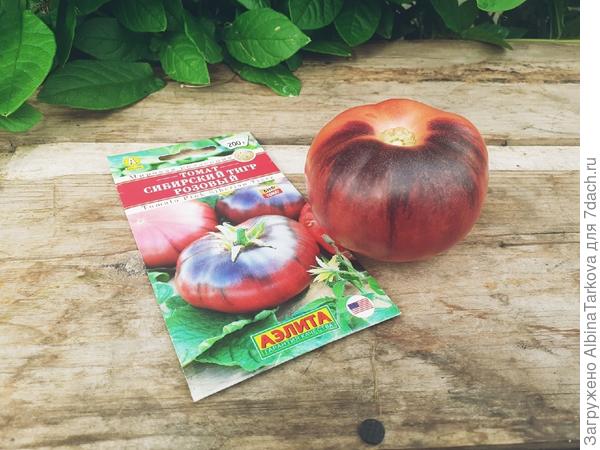 Насыщенный цвет