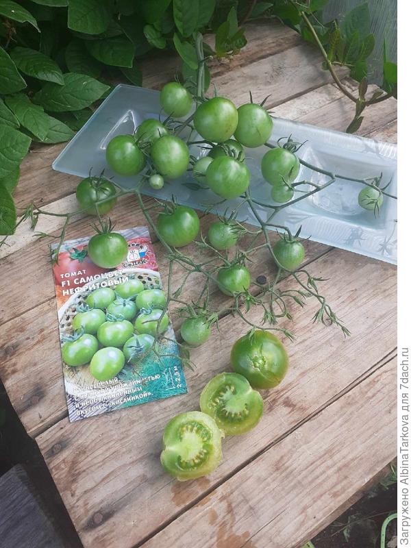 Плоды сочные и сладкие, при созревании приобретают чуть заметный жёлтый оттенок