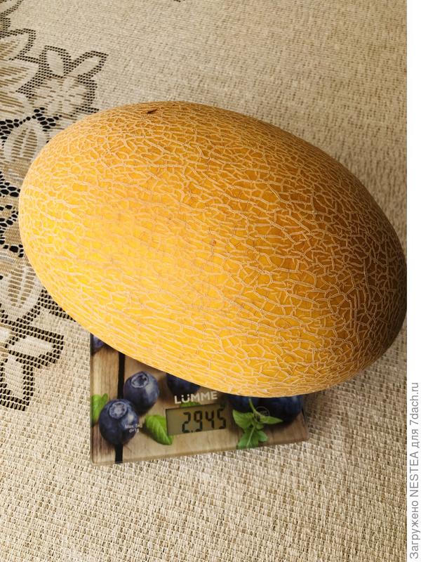 Наш максимум 😁