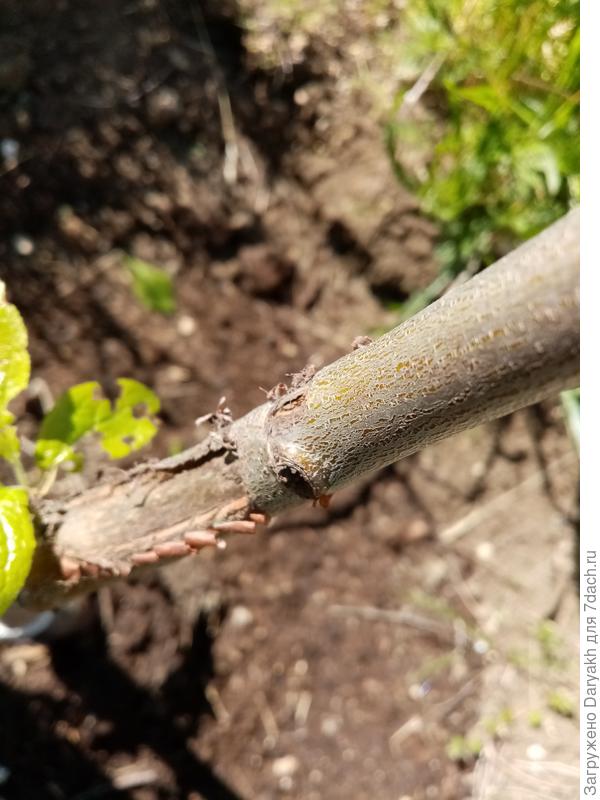 Повреждение