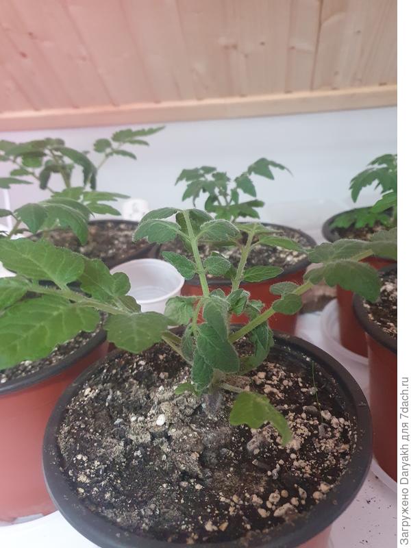 Закручивается лист