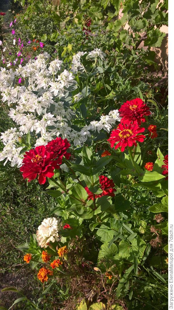 мне нравится