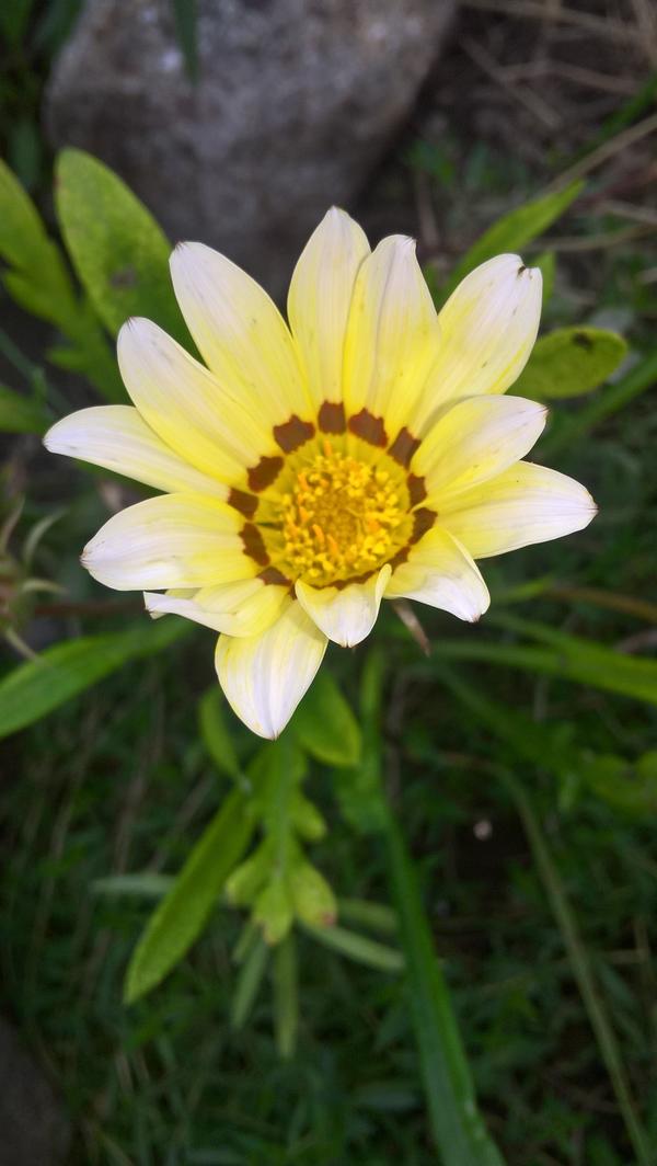 Гадания закрывается...