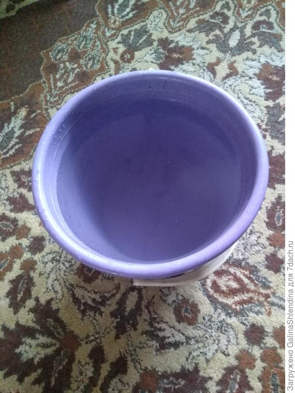 ведро чистой воды