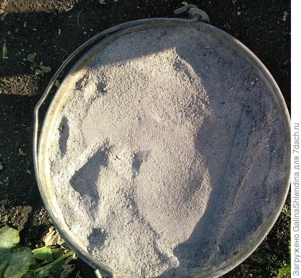 Зола