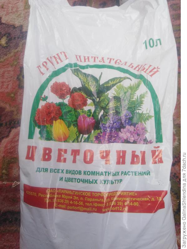 грунт