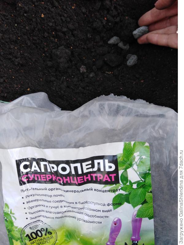 сапропель