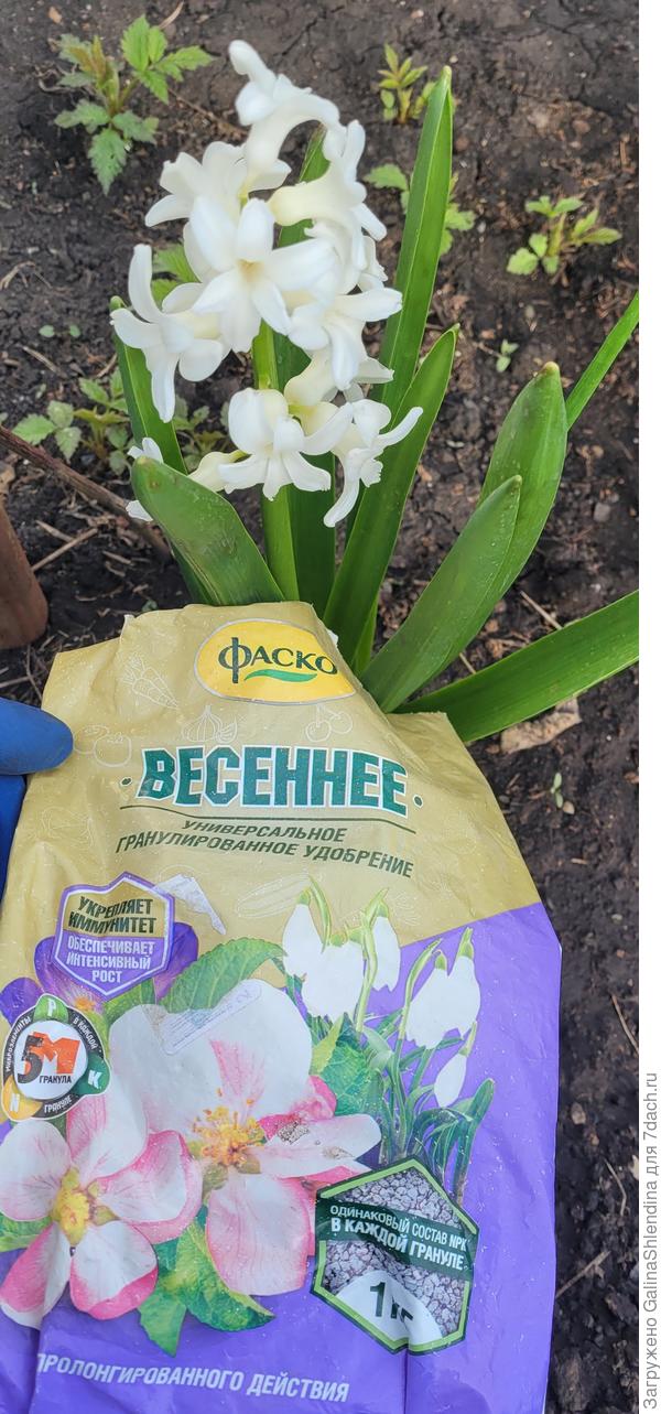 Удобрение