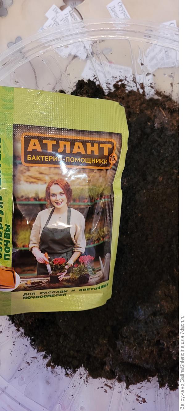 Готовлю грунт