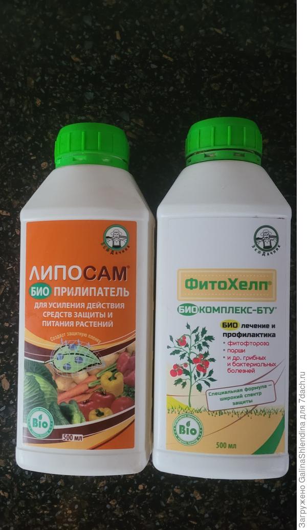 Защита от болезней