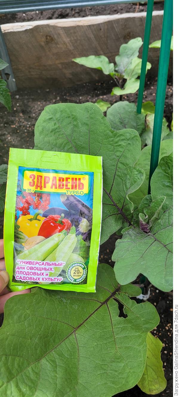 Удобрение для баклажан