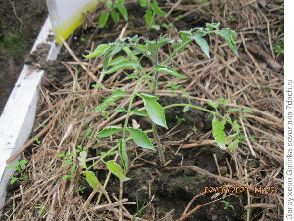 Процесс пошел!!