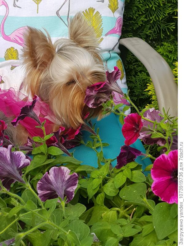 Жизнь удалась...