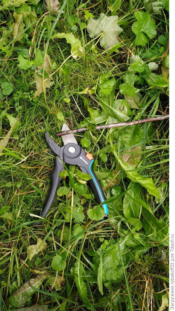 И итоговый результат работы секатора