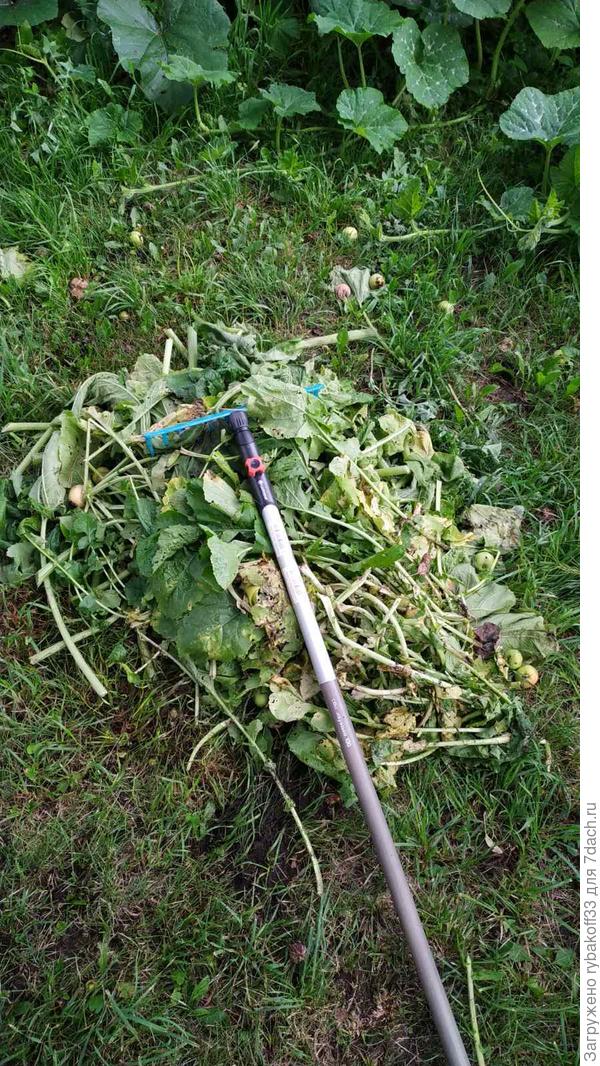 Собранная кучка два