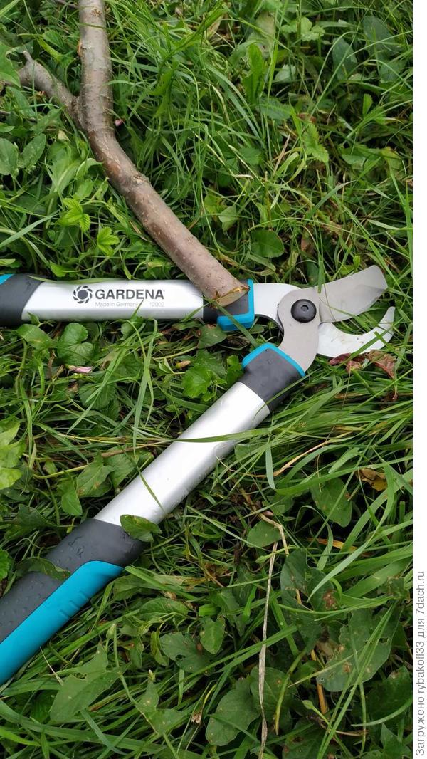 Такая вот она была