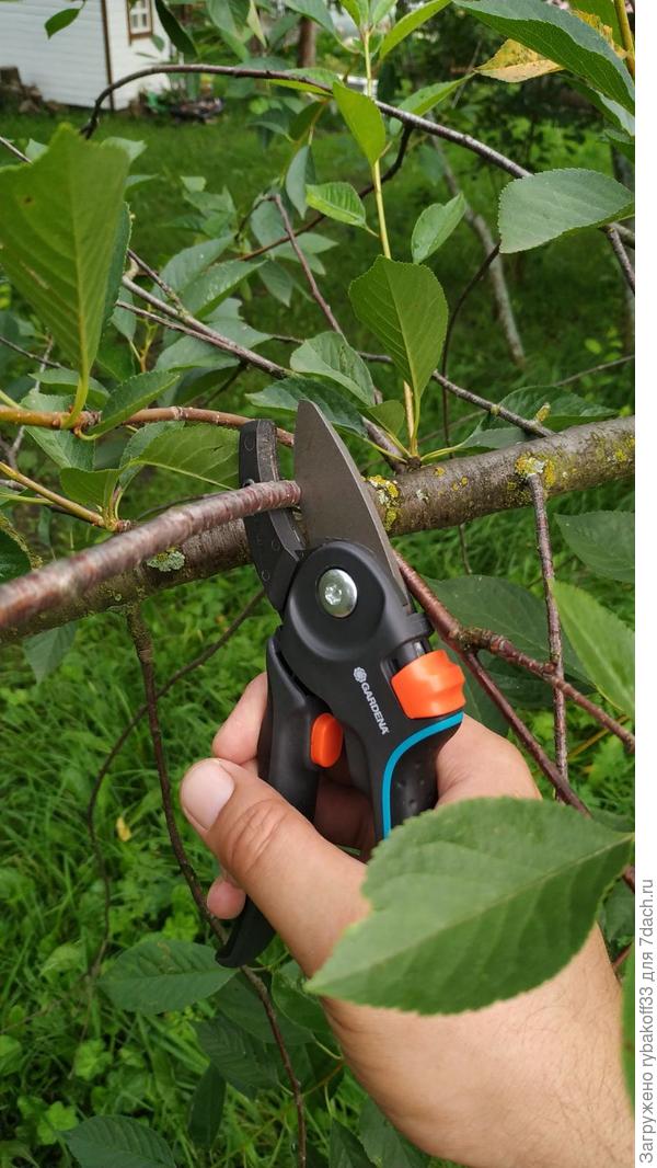 В процессе работы мы