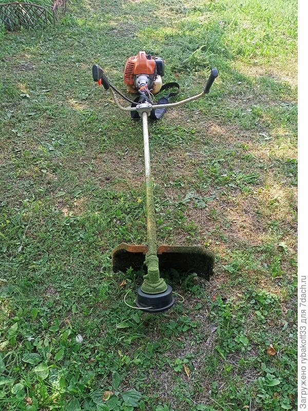 Вид спереди