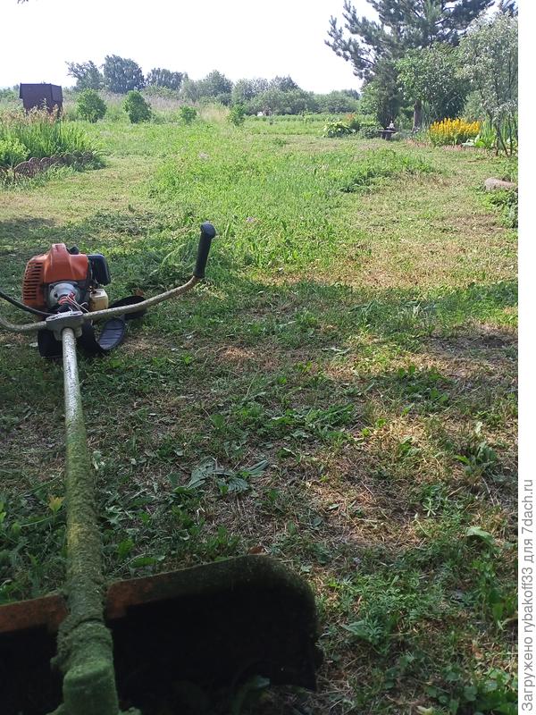 Защитный кожух