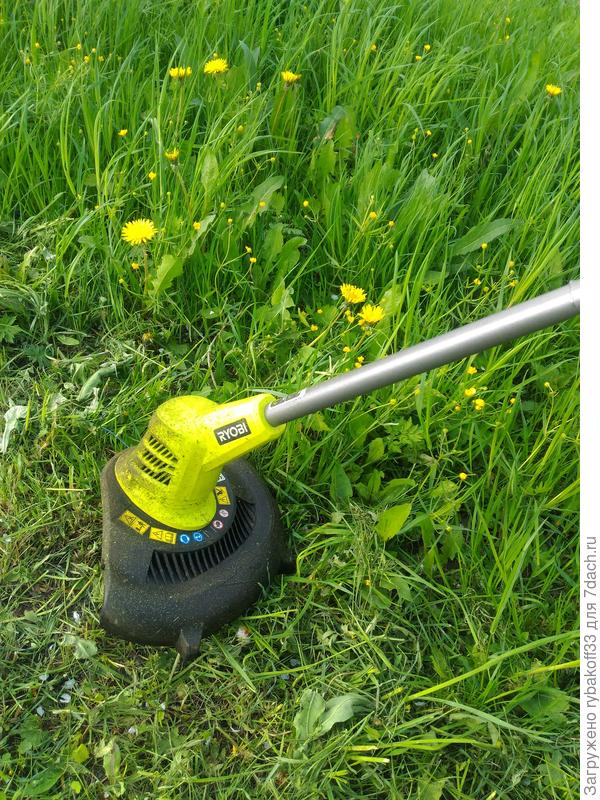 Косим два...