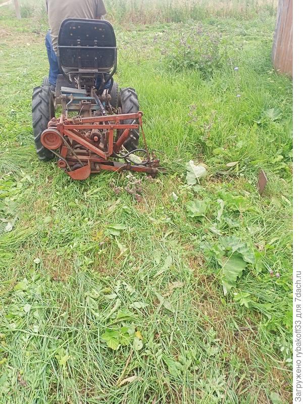 Не страшны нам лопухи