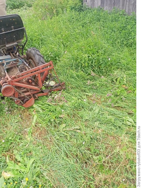 И крапиву скосим тоже шустро