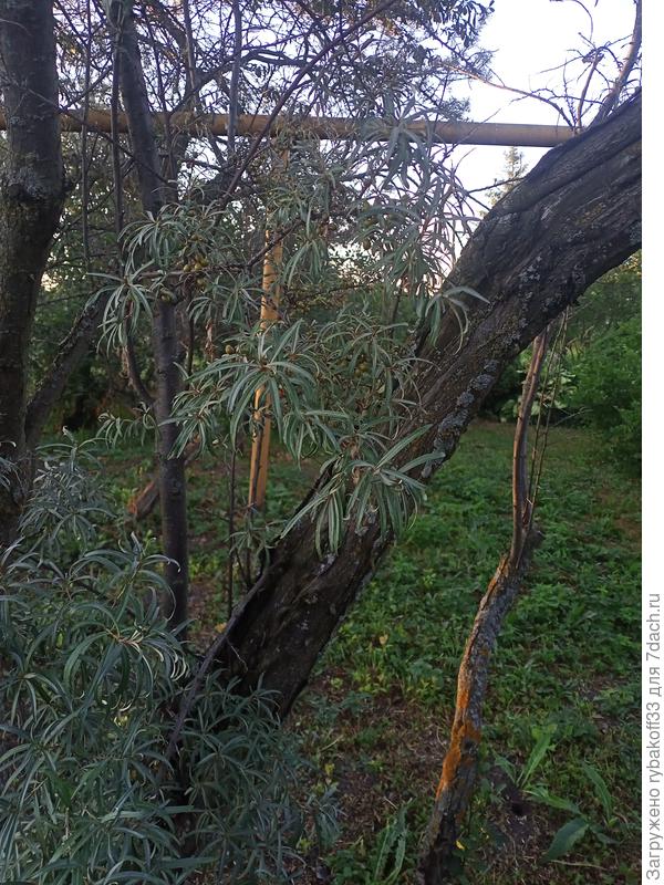 Исходное состояние