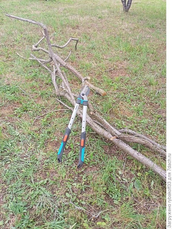 ...от кучки остаются только толстенькие ветки